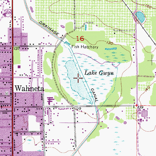 Topographic Map of Lake Gwyn, FL