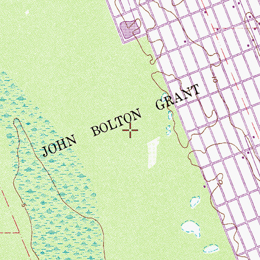 Topographic Map of John Bolton Grant, FL