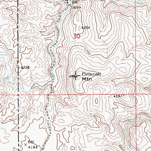 Topographic Map of Driscoll Mountain, AZ