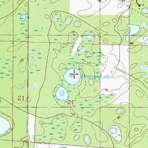 Topographic Map of Orange Lake, FL
