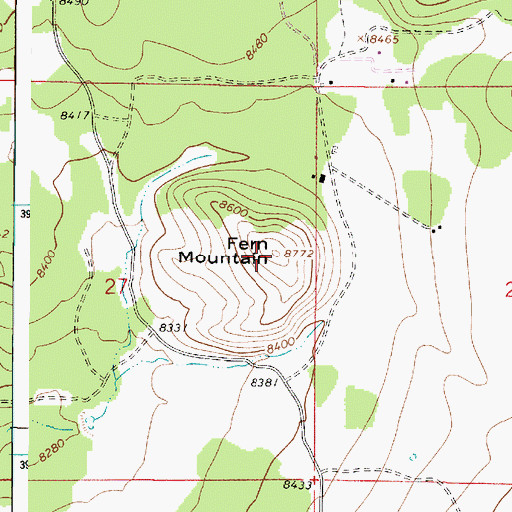 Topographic Map of Fern Mountain, AZ