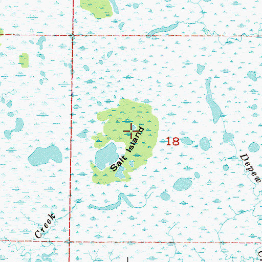 Topographic Map of Salt Island, FL