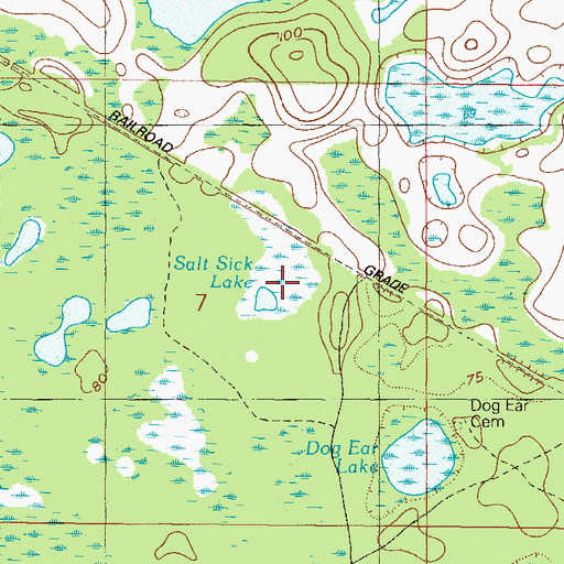 Topographic Map of Salt Sick Lake, FL