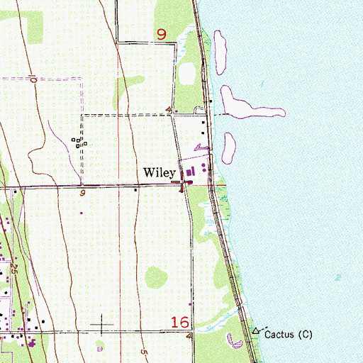 Topographic Map of Wiley, FL