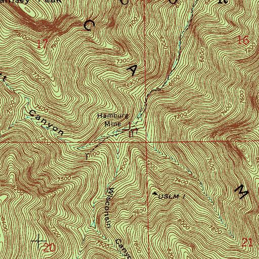 Topographic Map of Hamburg Mine, AZ