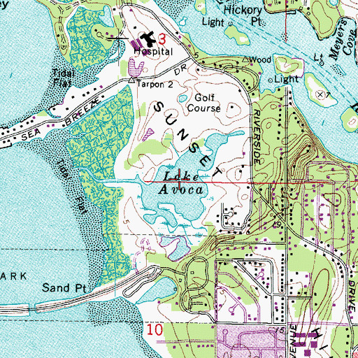 Topographic Map of Lake Avaco, FL