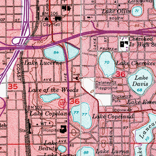 Topographic Map of Delaney Elementary School, FL