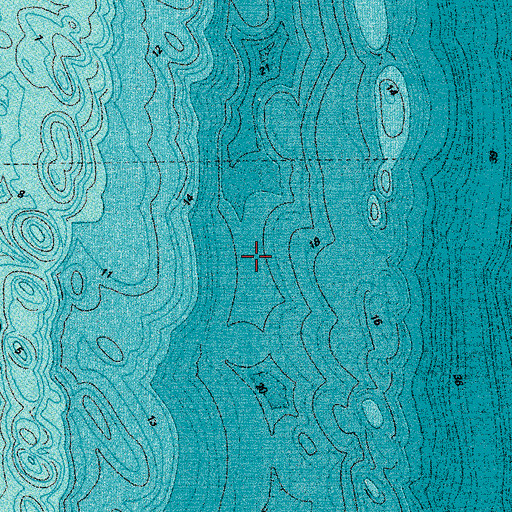 Topographic Map of The Hospital, FL