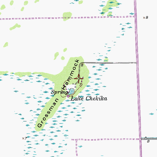 Topographic Map of Grossman Hammock State Park, FL