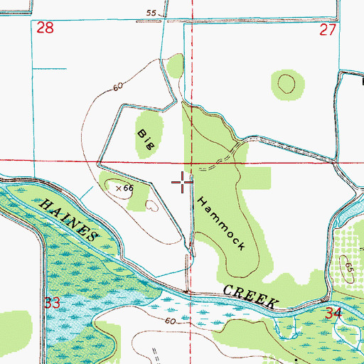 Topographic Map of Big Hammock, FL