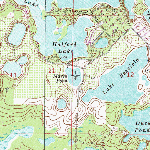 Topographic Map of Marsh Pond, FL