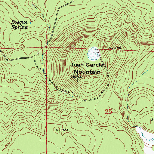 Topographic Map of Juan Garcia Mountain, AZ