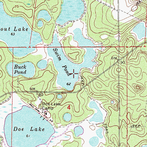 Topographic Map of Swim Pond, FL