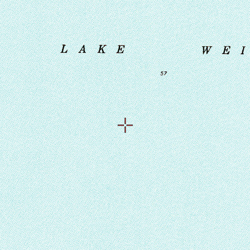 Topographic Map of Lake Weir, FL