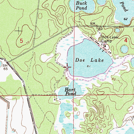 Topographic Map of Doe Lake Boat Ramp, FL