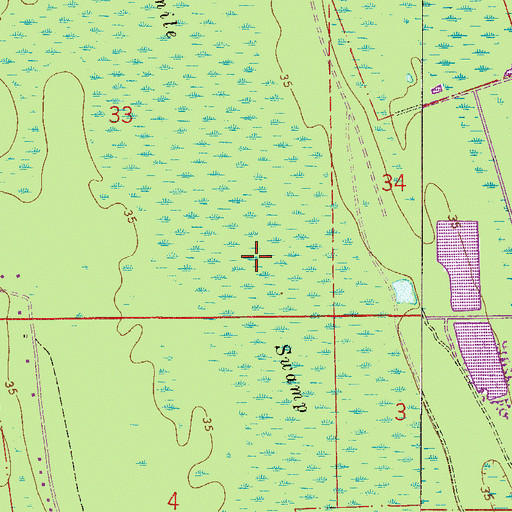Topographic Map of Fourmile Swamp, FL