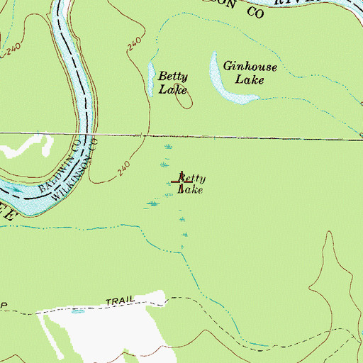 Topographic Map of Betty Lake, GA