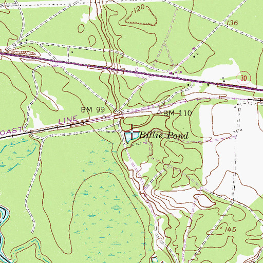 Topographic Map of Billie Pond, GA