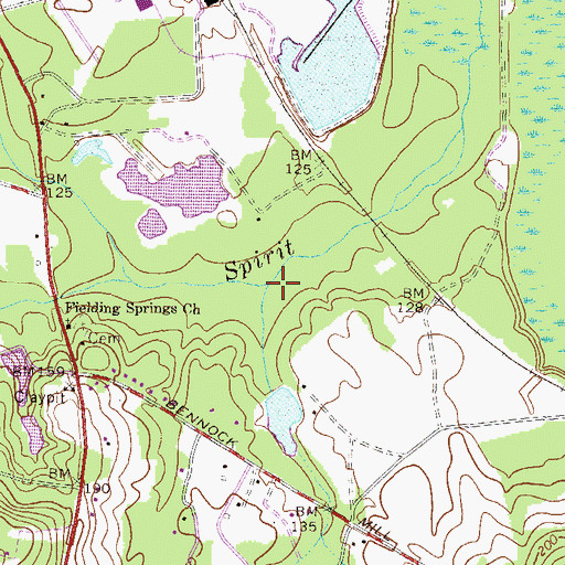 Topographic Map of Chicken Branch, GA