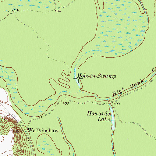 Topographic Map of Hole-in-Swamp, GA
