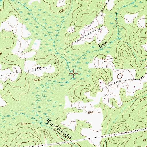 Topographic Map of Lee Creek, GA