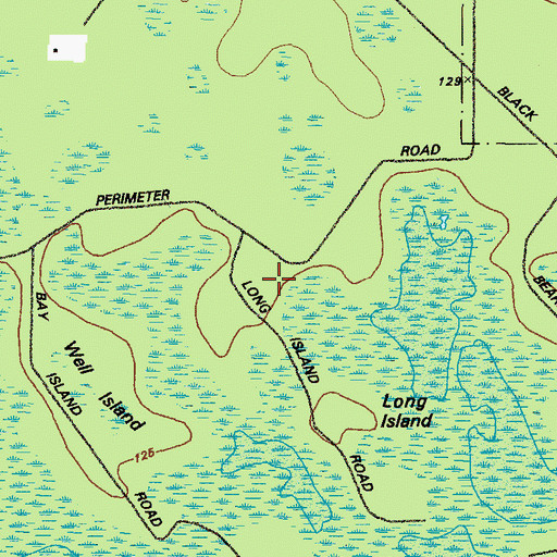 Topographic Map of Little Island, GA