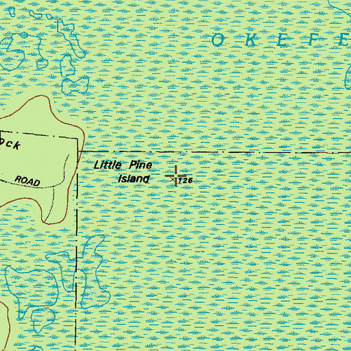 Topographic Map of Little Pine Island, GA