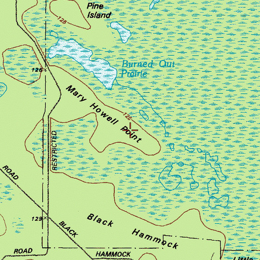 Topographic Map of Mary Howell Point, GA