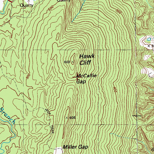 Topographic Map of McCallie Gap, GA