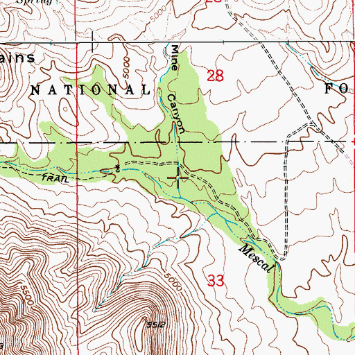 Topographic Map of Mine Canyon, AZ