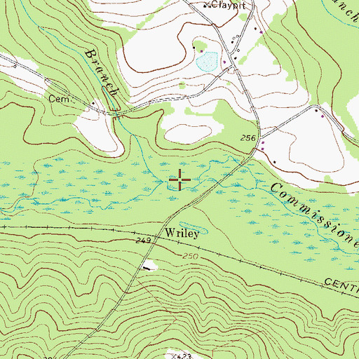 Topographic Map of Nelson Branch, GA