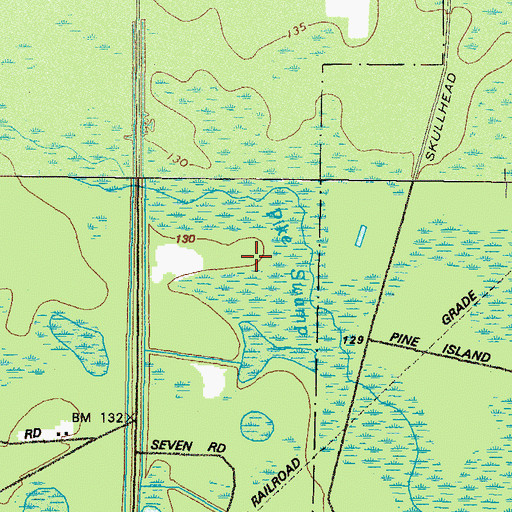 Topographic Map of Pike Swamp, GA