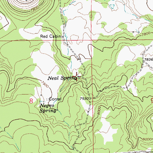 Topographic Map of Neal Spring, AZ