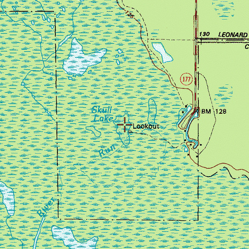 Topographic Map of Skull Lake, GA