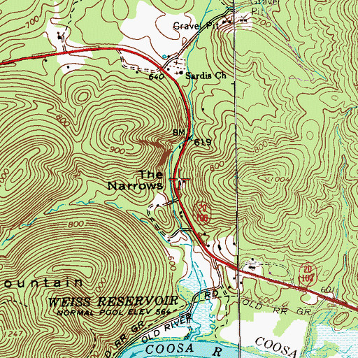 Topographic Map of The Narrows, GA
