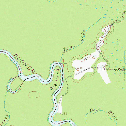 Topographic Map of Tomas Lake, GA