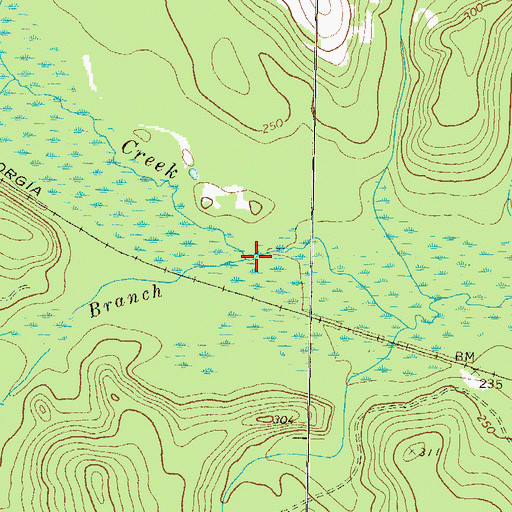 Topographic Map of Wheeler Branch, GA