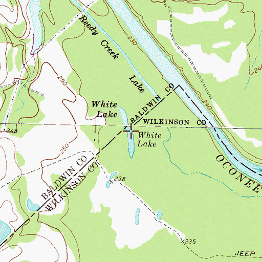 Topographic Map of White Lake, GA