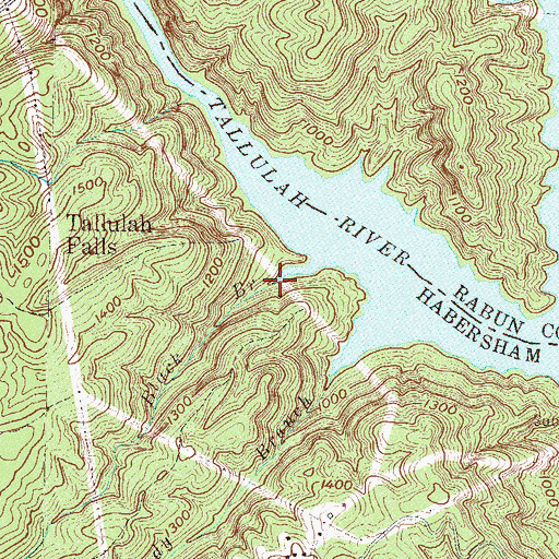 Topographic Map of Black Branch, GA