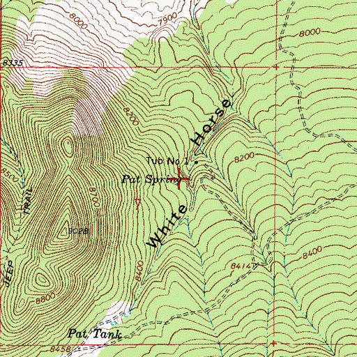 Topographic Map of Pat Spring, AZ