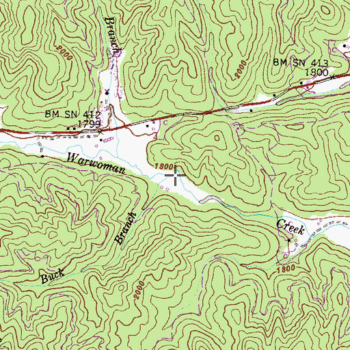 Topographic Map of Buck Branch, GA