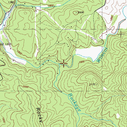 Topographic Map of Buckeye Creek, GA