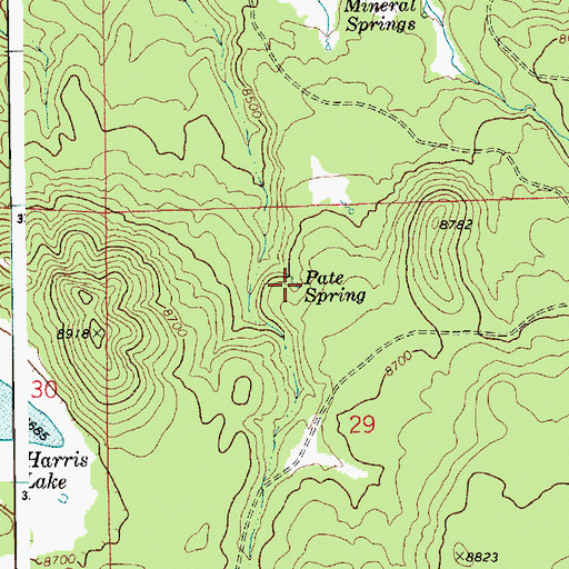 Topographic Map of Pate Spring, AZ