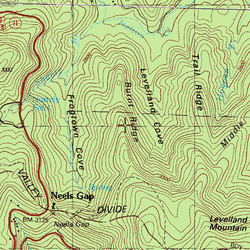 Topographic Map of Burnt Ridge, GA