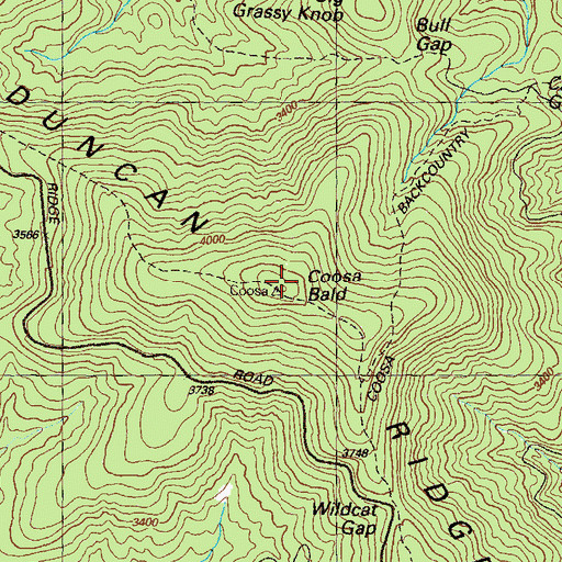 Topographic Map of Coosa Bald, GA