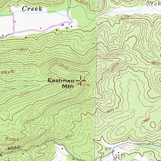 Topographic Map of Eastman Mountain, GA