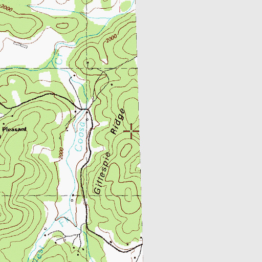 Topographic Map of Gillespie Ridge, GA