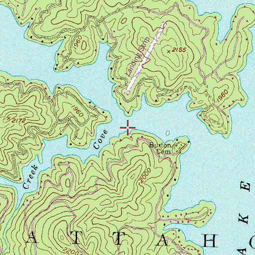 Topographic Map of Wildcat Creek Cove, GA