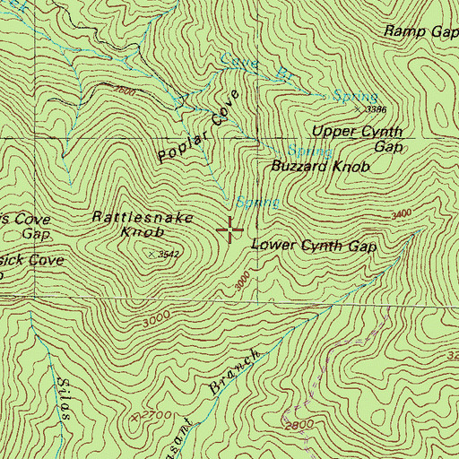 Topographic Map of Lower Cynth Gap, GA