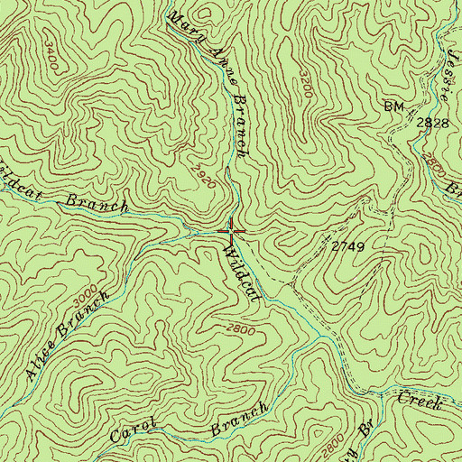 Topographic Map of Mary Anne Branch, GA